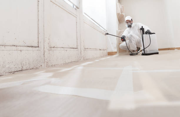 24/7 Emergency Crawl Space Mold Remediation experts in Nashville, TN