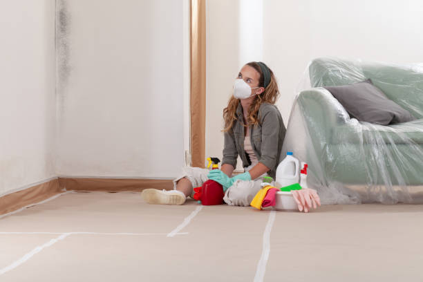 Reliable Crawl Space Mold Remediation contractor in Nashville, TN by 24 Hour Mold Removal